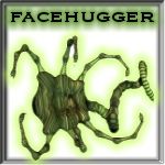 Davo's Facehugger!