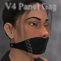 V4 Panel Gag