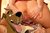 oldporndog