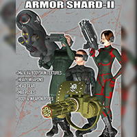 Armor Shard 2