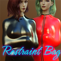 Restraint Bag