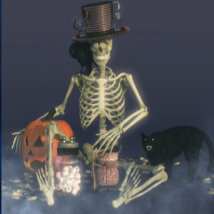 The Lost Skull