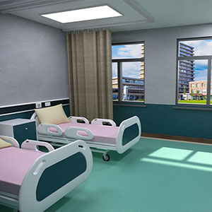 Hospital Double Ward