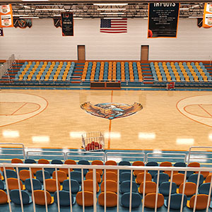 HS Basketball Gym Thunderhawk