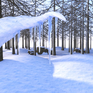 Winter Forest Set