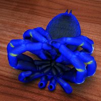 Darkseal_Tarantula_under.jpg