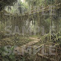 Chaosophia-Jungle-Ruins-Backgrounds-Promo-01.jpg