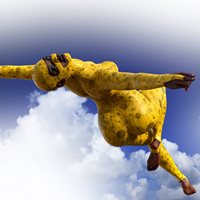 GSC_Bird_II_G9_002.jpg