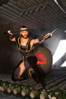 WarriorDS04.jpg