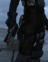 gunholster46jpg
