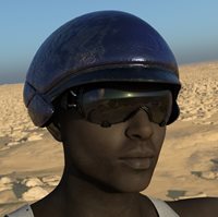 dvhelm146jpg