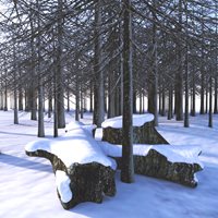 DoctorPervic-Winter-Forest-Set-B.jpg