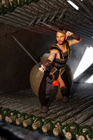 WarriorDS03.jpg