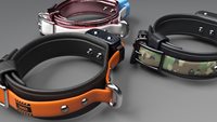 vs_ShockCollar_api4-(1).jpg