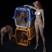 vs_dogcage_api1-(1).jpg