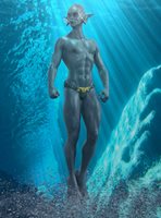 KING-AQUA-011.jpg