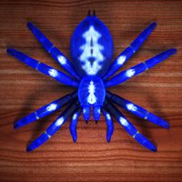 Darkseal_Tarantula_top.jpg