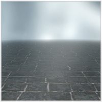 xl7_FloorshowDS.jpg
