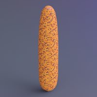Corn2-duf.jpg