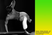 Capoeira-Poses-for-Genesis-9_003.jpg