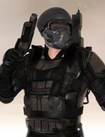 GearHarness46jpg