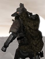 CamoWraps46jpg