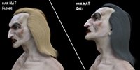 HairMATBlondGrey.jpg
