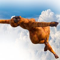 GSC_Bird_I_G9_003.jpg