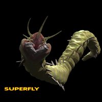 superflybobbitwormtwistingmoving.jpg