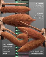 2_Tlmr_Structure.jpg
