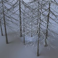DoctorPervic-Winter-Forest-Set-G.jpg