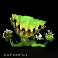 venus-many-morphs-superfly.jpg