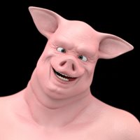 silly-pig.jpg