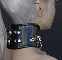 PostureCollar_promo_04.jpg