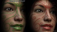 OrnamentalOverlays_AddImage2.jpg