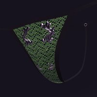 VunterSlaush_GstringExtraMaterials_API05-duf.jpg