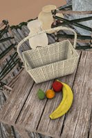 Fruit.jpg