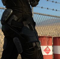 guninholster46jpg