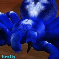 Darkseal_tarantula_firefly.jpg