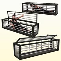 cages_ds_promo01.jpg