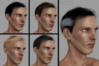 TheSleuth_hairoptions.jpg