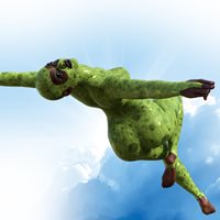 GSC_Bird_III_G9_002.jpg