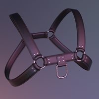 vs_leatherharness_api2-(1).jpg