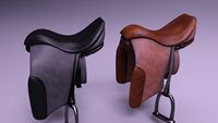 VS_SADDLE_api2.jpg