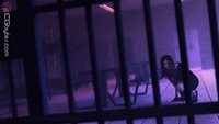 Z_CoyoteVision-1.jpg