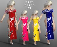 sl004.jpg