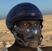 dvhelm346jpg
