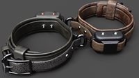 vs_ShockCollar_api2-(1).jpg