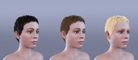 phoebe-hair-for-g8f-g9-02.jpg