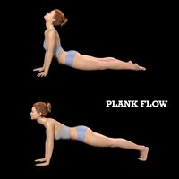 PLANKLABEL.jpg